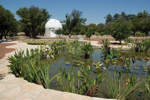Botanic Pond